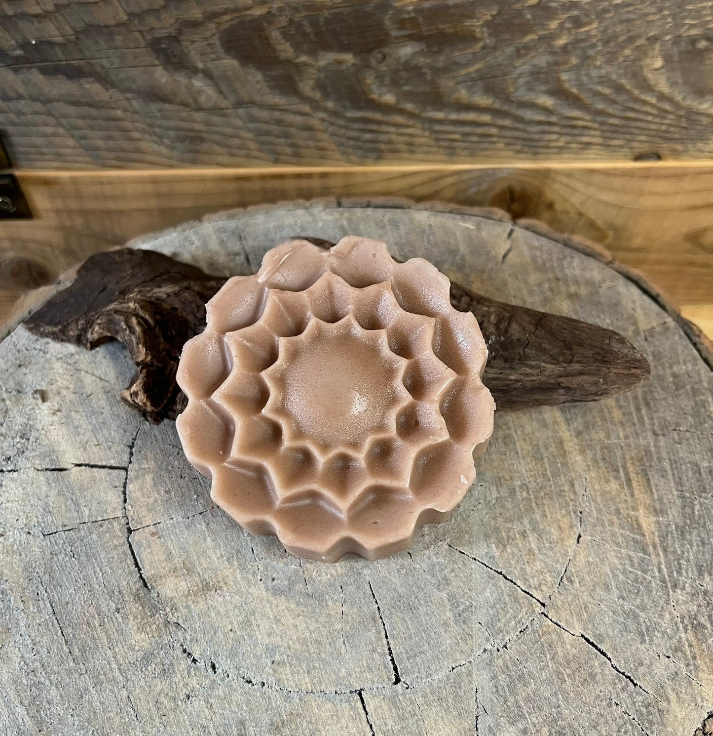 Revitalisant en barre - Cheveux normaux