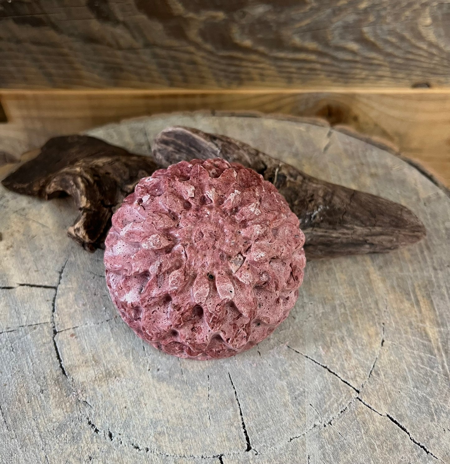 Shampooing en barre - Cheveux normaux