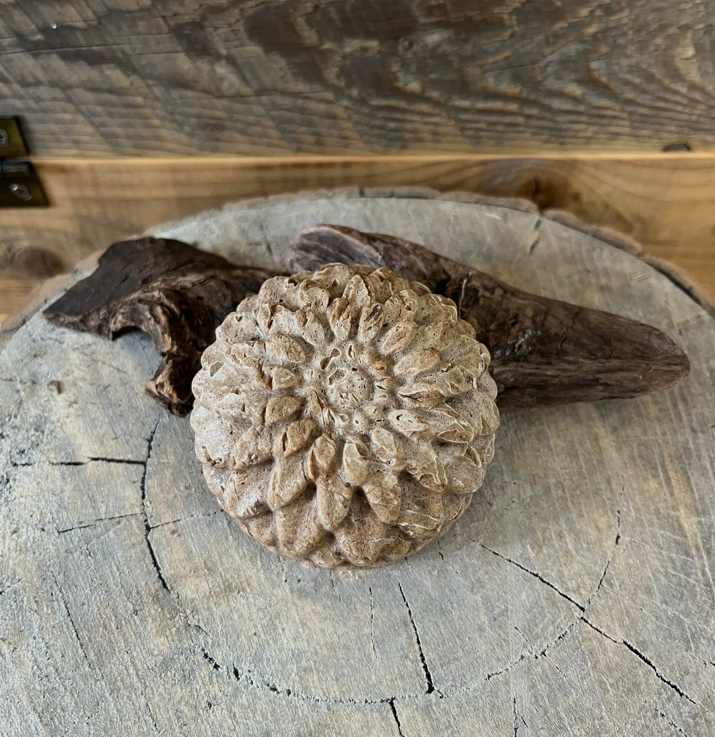 Shampooing en barre - Cheveux secs & abîmés