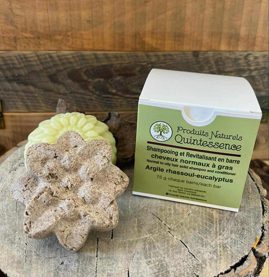 Duo de shampoing & revitalisant - Cheveux normaux à gras